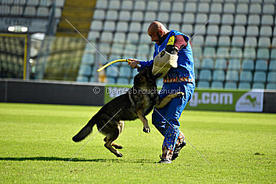 Zeus vom Schloß Solitude
