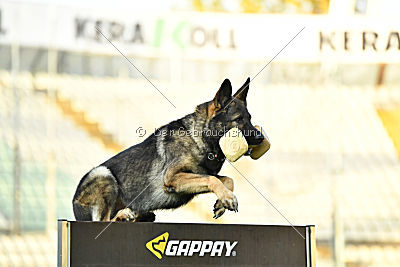 Zeus vom Schloß Solitude