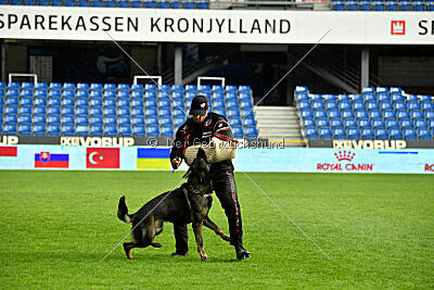 Zigo van de Zeelberg