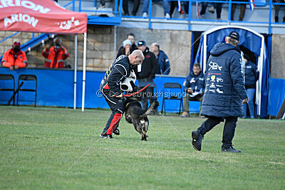 Zigo van de Zeelberg