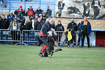 Zigo van de Zeelberg