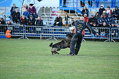 Zigo van de Zeelberg