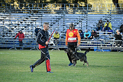 Zigo van de Zeelberg