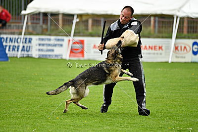 Zimtschnecke Arabrab