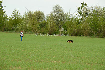 Zoe vom Prälatenwald