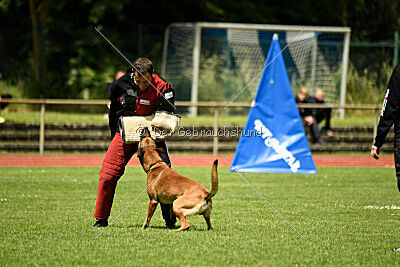 ne pas toucher Aaron