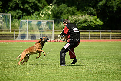 ne pas toucher Aaron