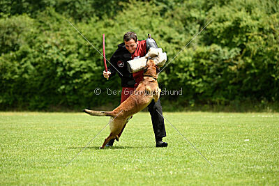 ne pas toucher Aaron