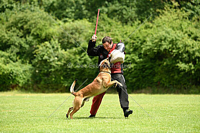 ne pas toucher Aaron