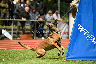 ne pas toucher Aaron