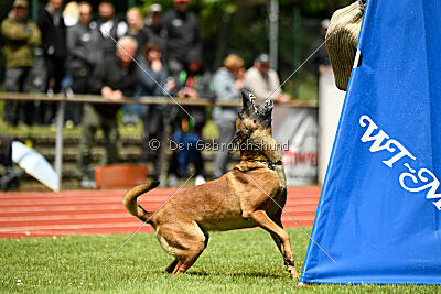 ne pas toucher Aaron