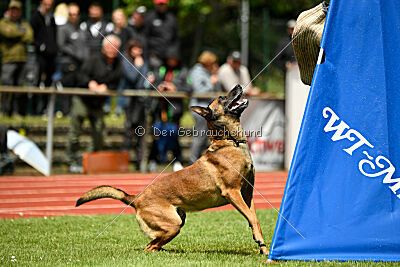 ne pas toucher Aaron