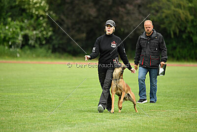 ne pas toucher Aaron