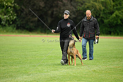 ne pas toucher Aaron