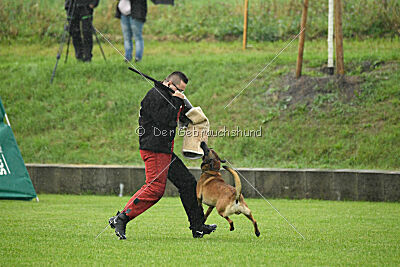 ne pas toucher Aaron