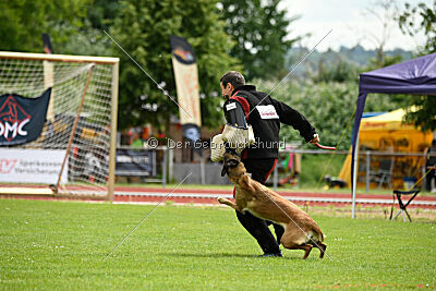 ne pas toucher Ambra