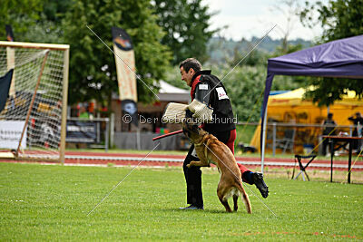 ne pas toucher Ambra