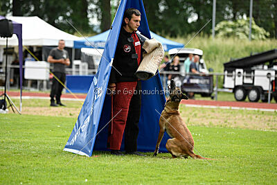 ne pas toucher Ambra