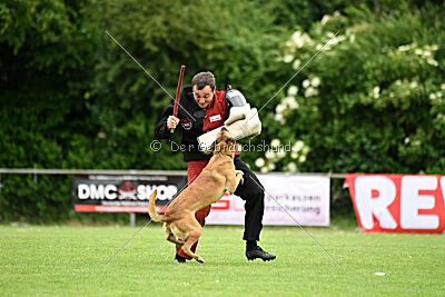 ne pas toucher Amy Winehouse