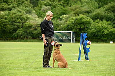 ne pas toucher Amy Winehouse