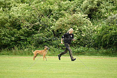 ne pas toucher Amy Winehouse