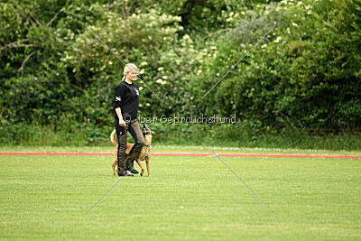 ne pas toucher Amy Winehouse