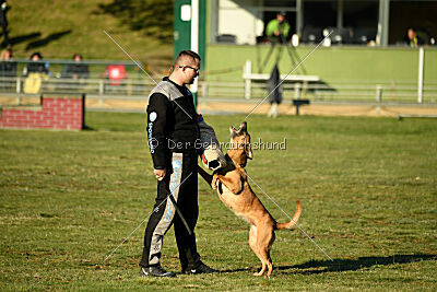 ne pas toucher Amy Winehouse