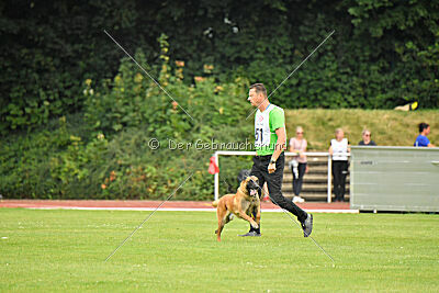 working-dog Esh