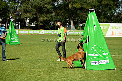 working-dog Frieda