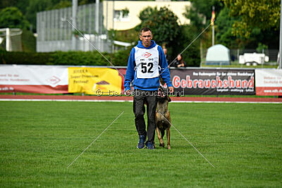 working-dog Frieda