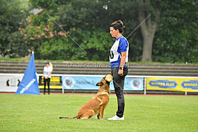 working-dog Gwendolin