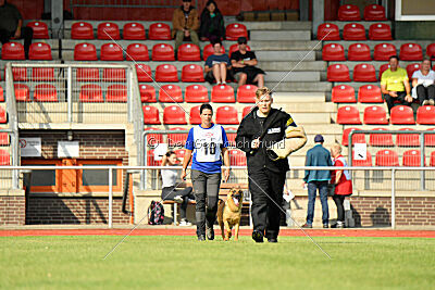 working-dog Gwendolin