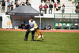 Boss Belrott
