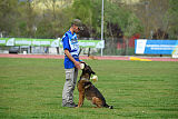 Genius Team Veranis K-9 Center