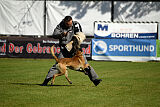 Donar Bestiaras
