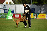 working-dog Frieda