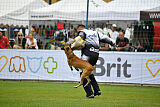 Alexa von der Lilienwiese