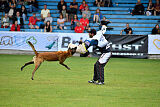 Omer de Hellehond