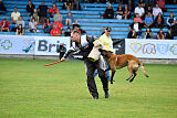 Omer de Hellehond