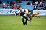 Omer de Hellehond