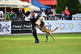 Omer de Hellehond