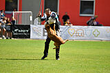Odysseya de la Mamba Noire