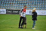 Donar Bestiaras