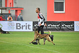 Donar Bestiaras