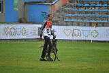 Donar Bestiaras