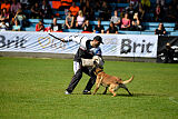 Donar Bestiaras