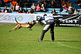 Donar Bestiaras