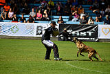 Donar Bestiaras