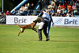 Donar Bestiaras