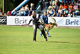 Donar Bestiaras